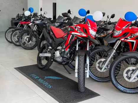 HONDA XRE 300 RALLY ABS, Foto 2