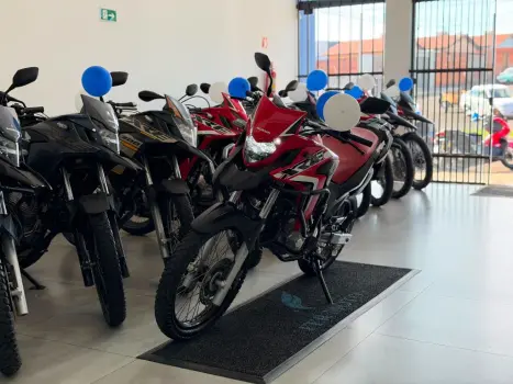 HONDA XRE 300 RALLY ABS, Foto 3