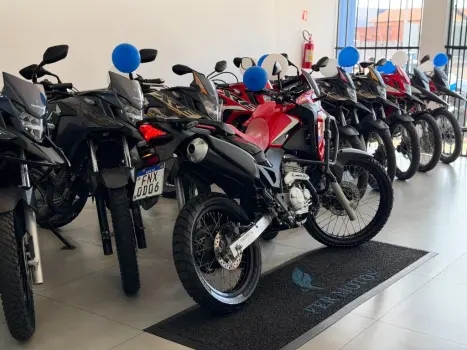 HONDA XRE 300 RALLY ABS, Foto 5