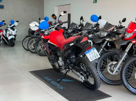 HONDA XRE 300 RALLY ABS, Foto 6