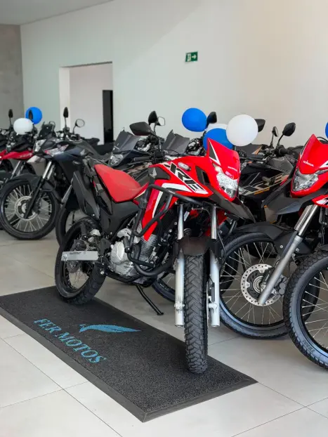 HONDA XRE 300 RALLY ABS, Foto 7
