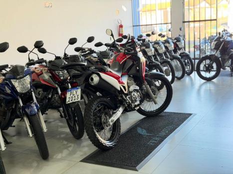 HONDA XRE 300 RALLY ABS, Foto 5
