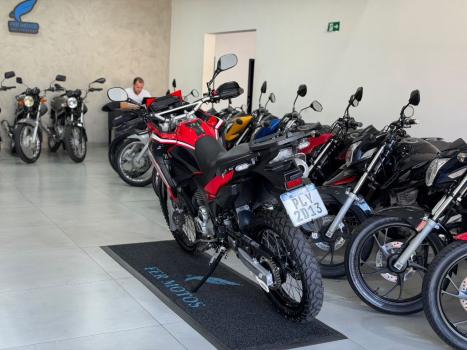 HONDA XRE 300 RALLY ABS, Foto 6