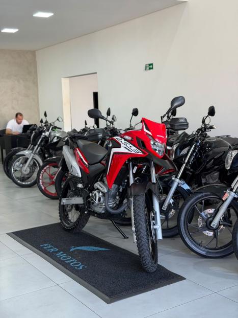 HONDA XRE 300 RALLY ABS, Foto 7