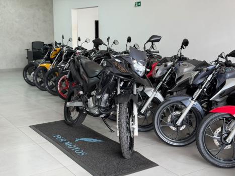 HONDA XRE 300 RALLY ABS, Foto 2