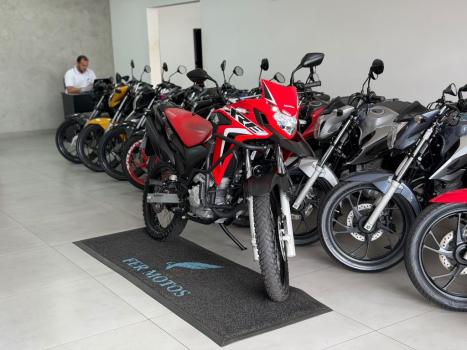 HONDA XRE 300 RALLY ABS, Foto 2