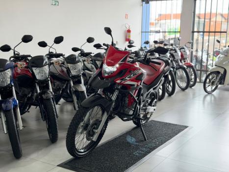 HONDA XRE 300 RALLY ABS, Foto 3