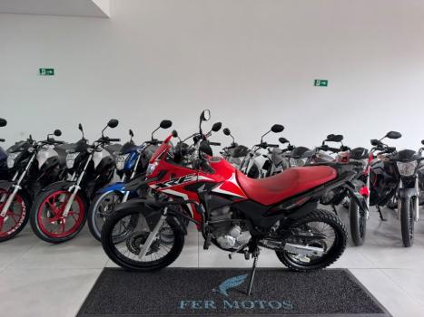 HONDA XRE 300 RALLY ABS, Foto 4