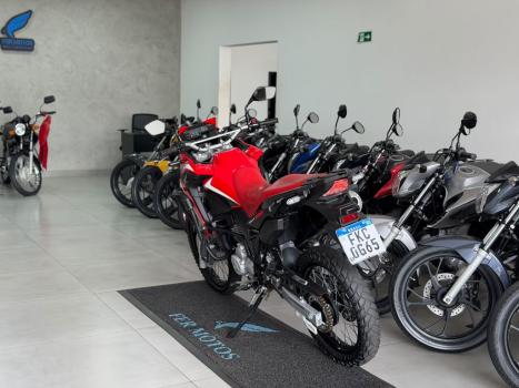 HONDA XRE 300 RALLY ABS, Foto 5