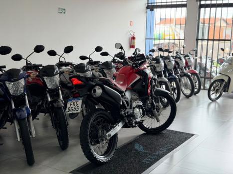 HONDA XRE 300 RALLY ABS, Foto 6
