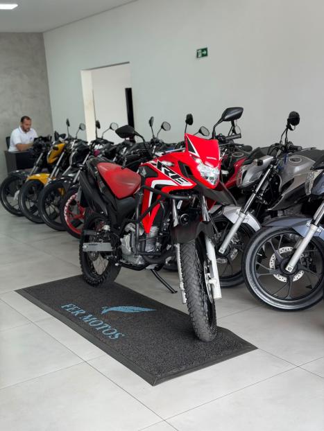 HONDA XRE 300 RALLY ABS, Foto 7