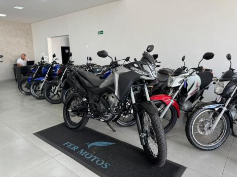 HONDA XRE 300 Sahara , Foto 2