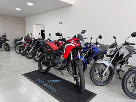 HONDA XRE 300 Sahara RALLYE, Foto 2