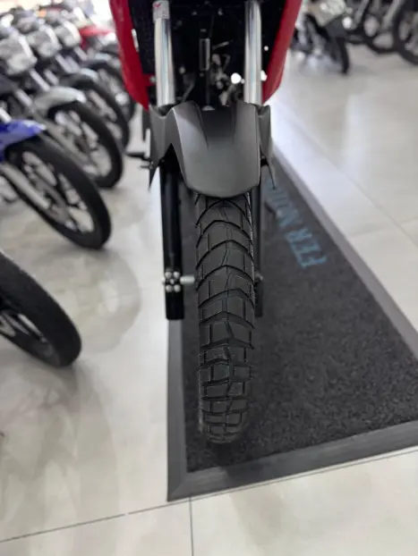 HONDA XRE 300 Sahara RALLYE, Foto 9