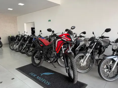 HONDA XRE 300 Sahara RALLYE, Foto 2