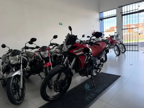 HONDA XRE 300 Sahara RALLYE, Foto 3