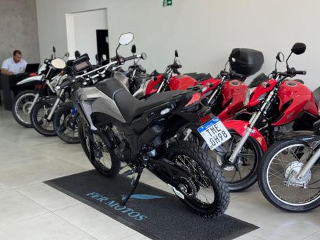 HONDA XRE 300 Sahara , Foto 5