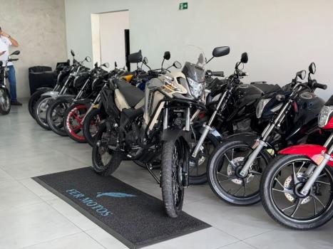 HONDA XRE 300 Sahara ADVENTURE, Foto 2
