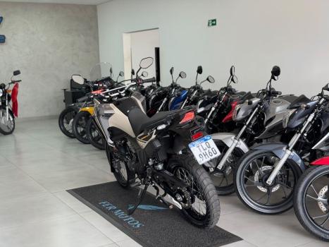 HONDA XRE 300 Sahara ADVENTURE, Foto 5