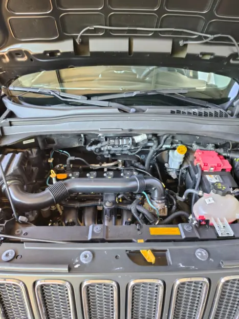 JEEP Renegade 1.8 16V 4P FLEX, Foto 11