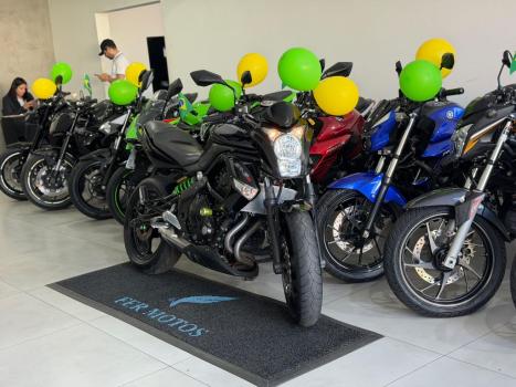 KAWASAKI ER-6N 650 ABS, Foto 2