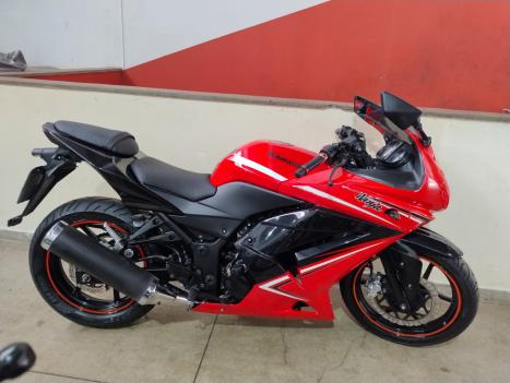 KAWASAKI Ninja 250 R, Foto 2