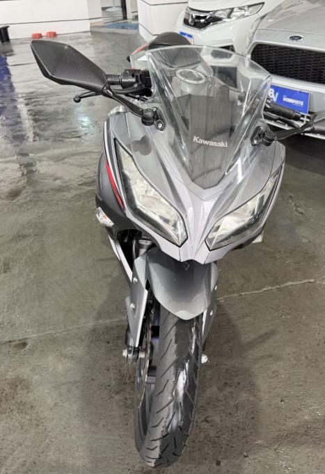 KAWASAKI Ninja 300 , Foto 1