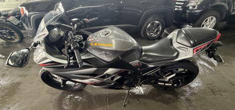 KAWASAKI Ninja 300 , Foto 2