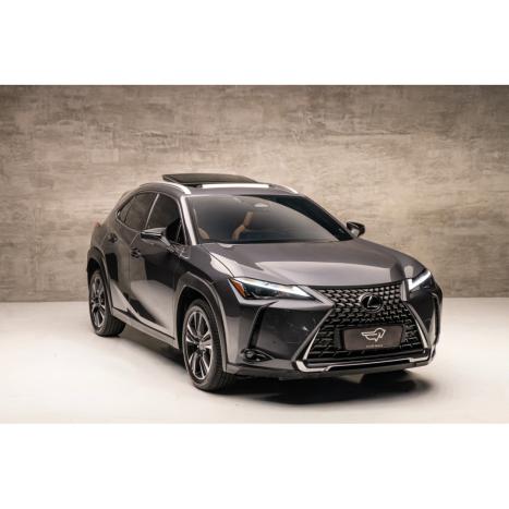 LEXUS UX 250H 2.0 16V 4P F-SPORT HYBRID AUTOMÁTICO CVT, Foto 1
