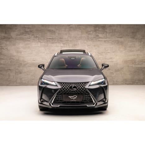 LEXUS UX 250H 2.0 16V 4P F-SPORT HYBRID AUTOMÁTICO CVT, Foto 2