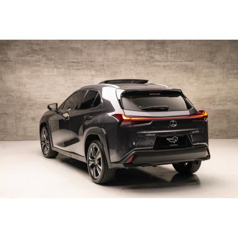 LEXUS UX 250H 2.0 16V 4P F-SPORT HYBRID AUTOMÁTICO CVT, Foto 4