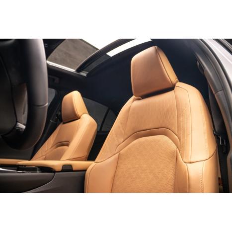 LEXUS UX 250H 2.0 16V 4P F-SPORT HYBRID AUTOMÁTICO CVT, Foto 8