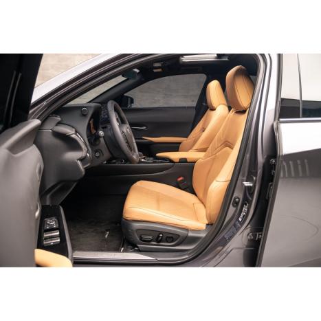 LEXUS UX 250H 2.0 16V 4P F-SPORT HYBRID AUTOMÁTICO CVT, Foto 9