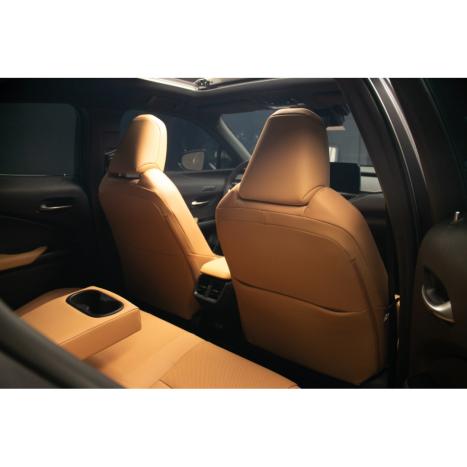 LEXUS UX 250H 2.0 16V 4P F-SPORT HYBRID AUTOMÁTICO CVT, Foto 10