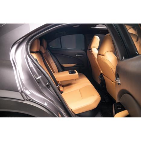LEXUS UX 250H 2.0 16V 4P F-SPORT HYBRID AUTOMÁTICO CVT, Foto 11