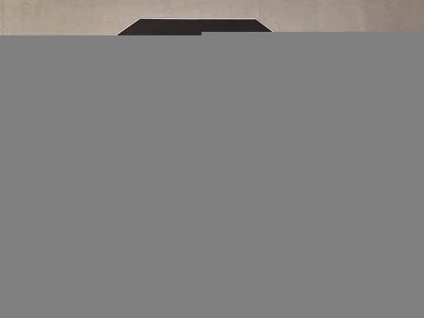 PEUGEOT 208 1.5 4P FLEX ACTIVE, Foto 2