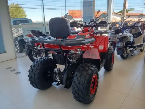 SHINERAY ATV 200 EFI , Foto 3