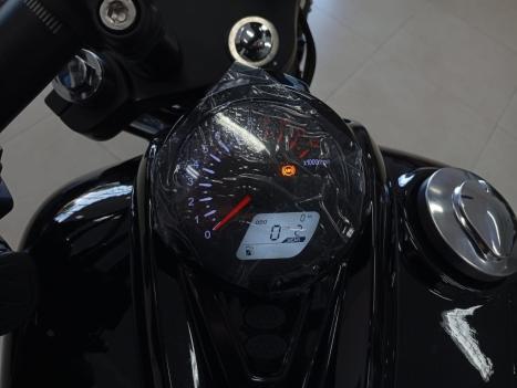 SHINERAY Iron 250 , Foto 8