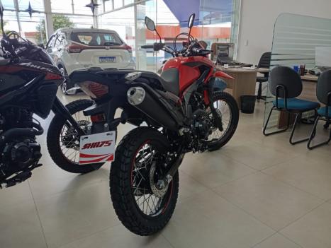 SHINERAY SHI 175 , Foto 4