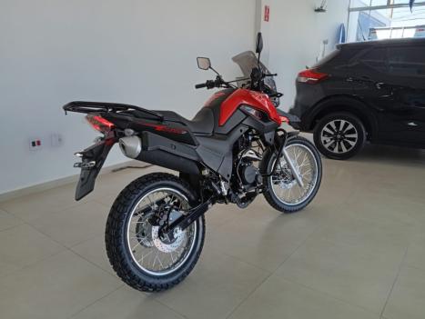 SHINERAY SHI 175 , Foto 8