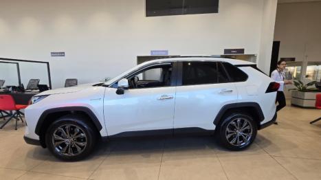 TOYOTA RAV 4 2.5 16V 4P SX HIBRID AWD AUTOM�TICO CVT, Foto 8