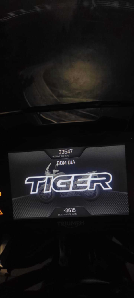 TRIUMPH Tiger 900 GT Pro , Foto 8