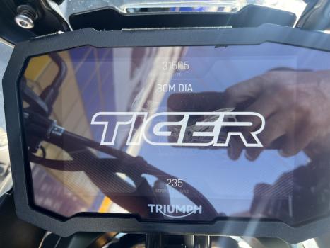 TRIUMPH Tiger 900 RALLY PR�, Foto 6