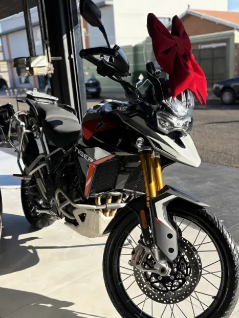TRIUMPH Tiger 900 RALLY PR�, Foto 6