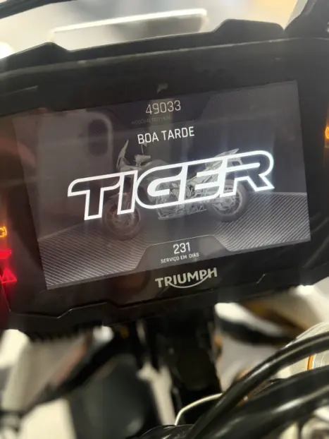 TRIUMPH Tiger 900 RALLY PR�, Foto 4