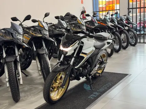YAMAHA FZ 25 250 Fazer Flex , Foto 3