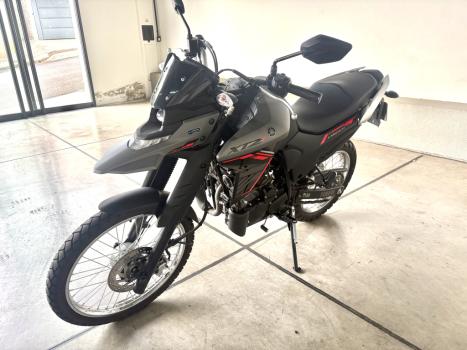 YAMAHA Lander 250 , Foto 1