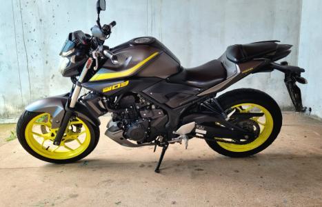 YAMAHA MT-03 300 ABS, Foto 5