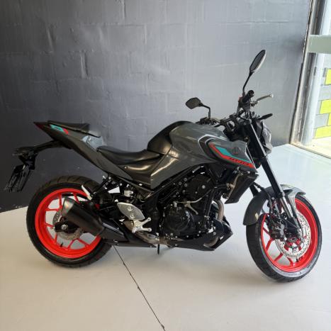 YAMAHA MT-03 300 ABS, Foto 5