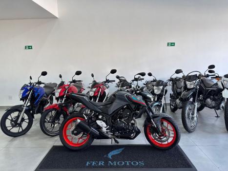 YAMAHA MT-03 300 ABS, Foto 1